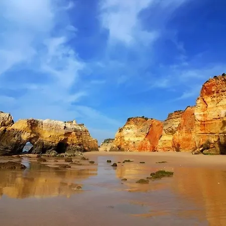 Apartment Marina Hillside 2